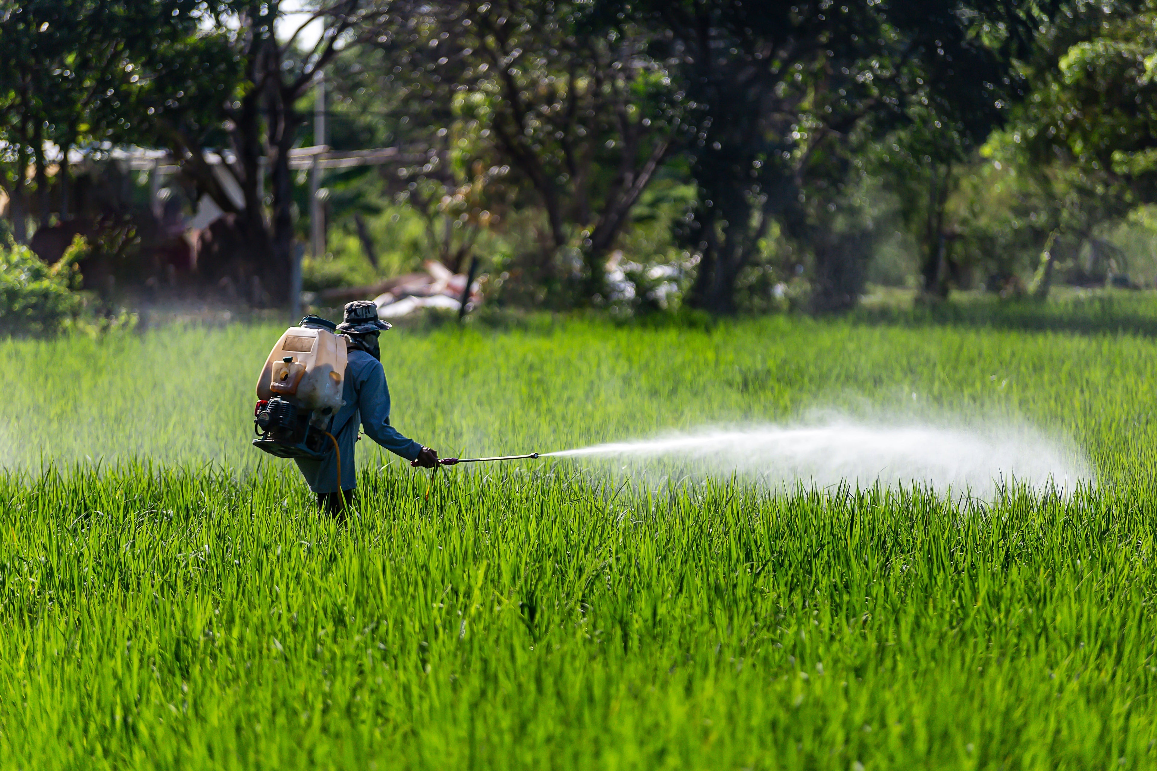 🚫 Glyphosate & Equine Health: What You Need to Know