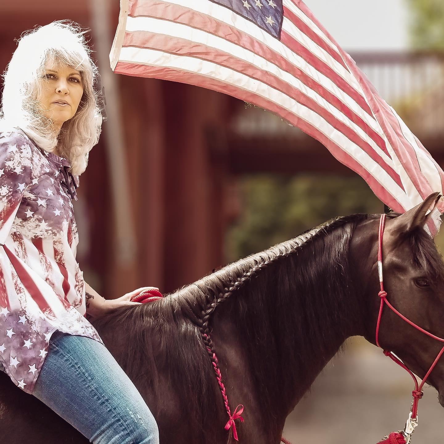 2020 Wild Fed Horse Photo Contest Winners