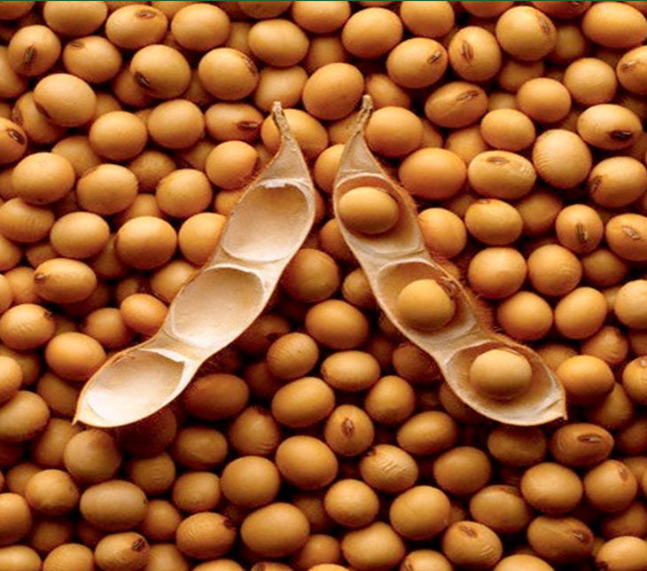 THE DANGERS OF SOY
