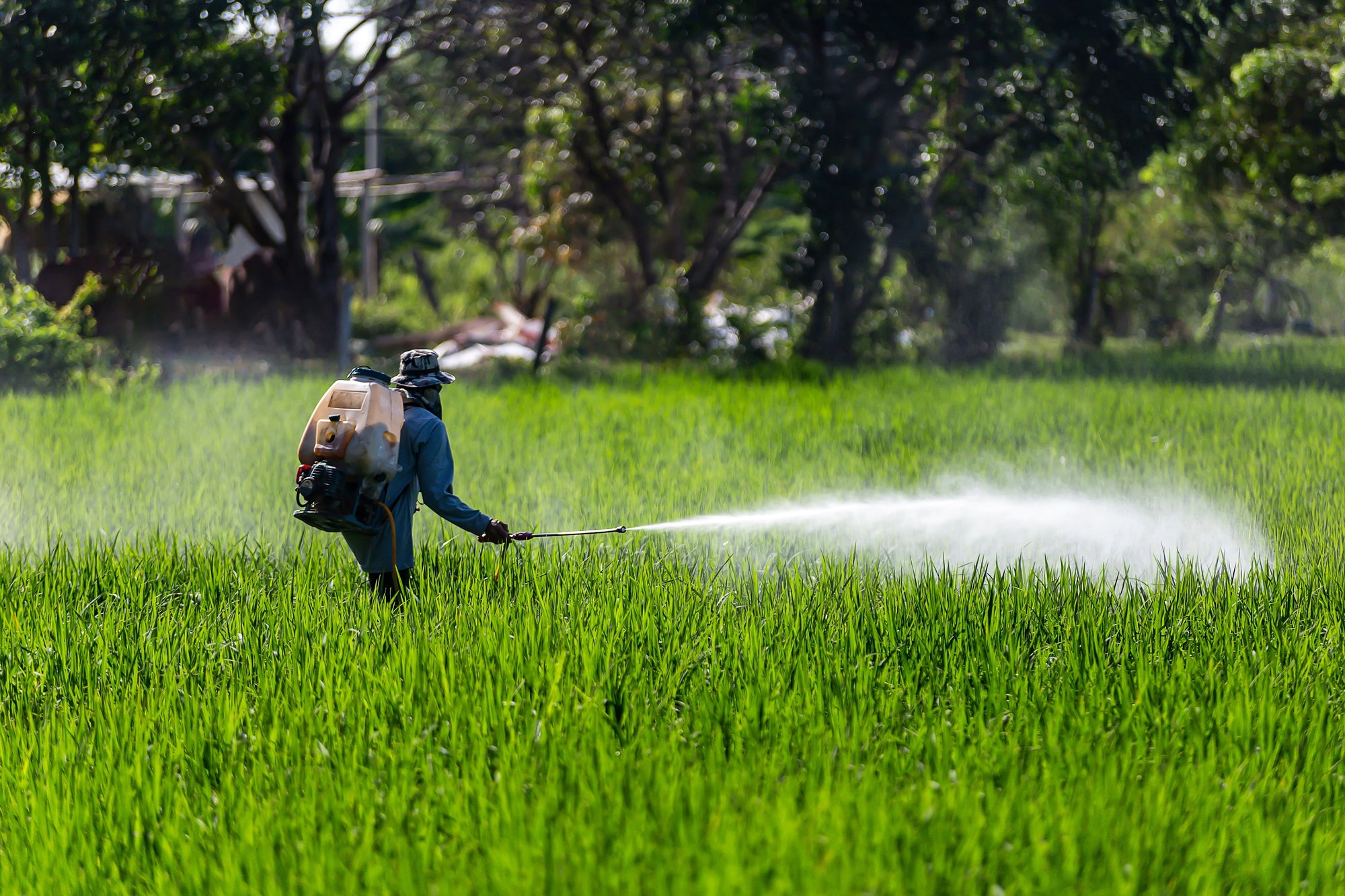 🚫 Glyphosate & Equine Health: What You Need to Know