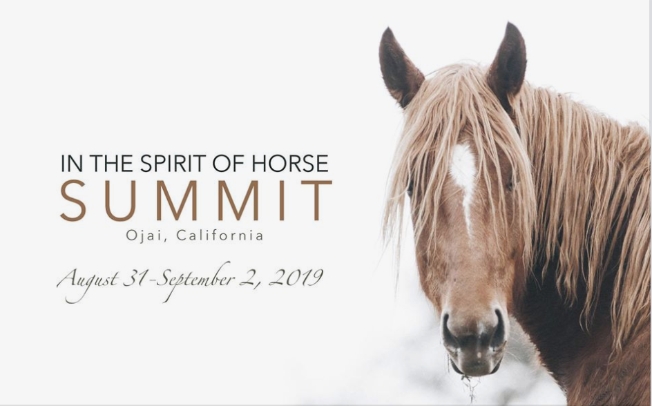 Event for Horse Lovers, "In the Spirit of Horse"