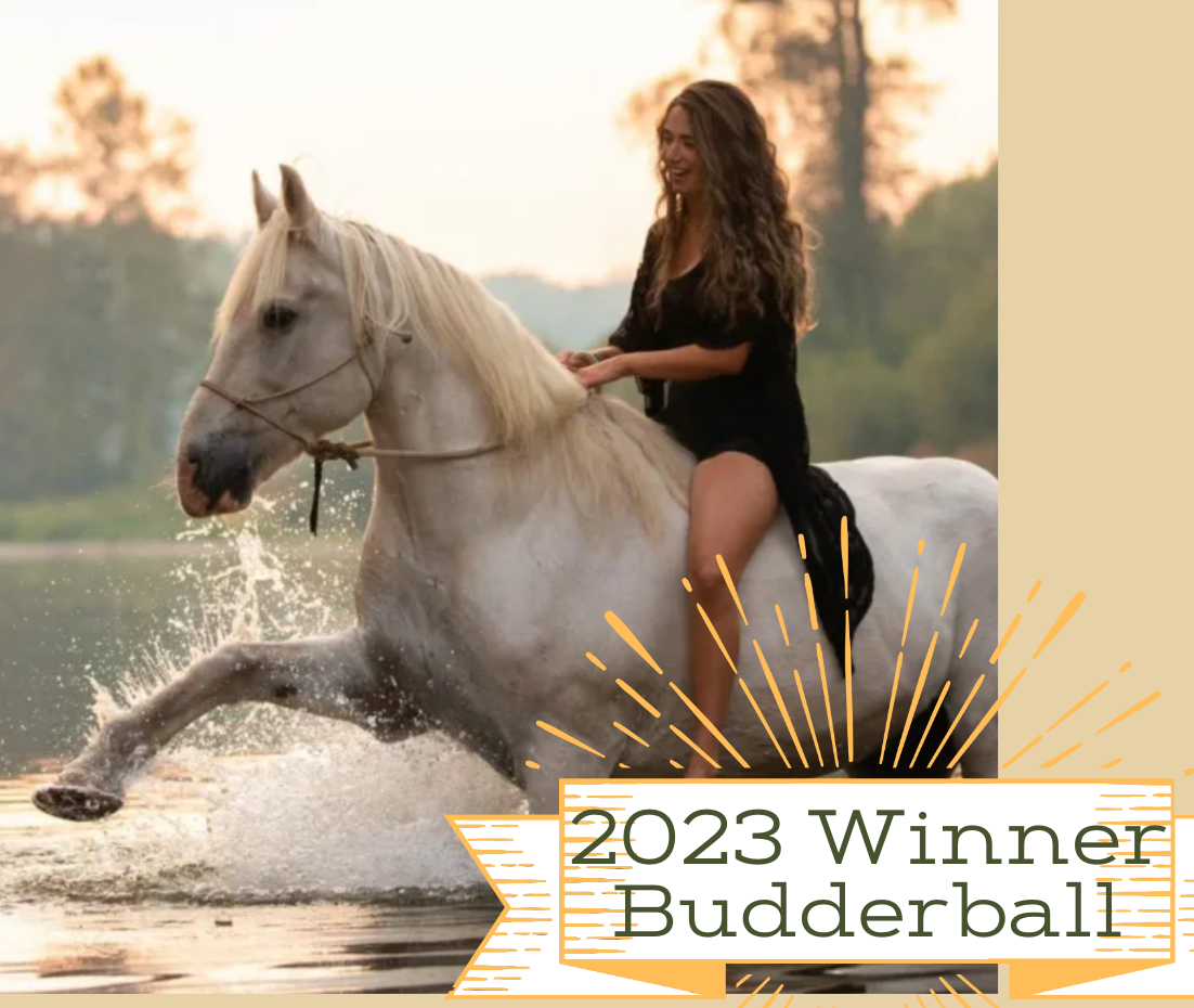2023 Wild Fed Horse Photo Contest Winners