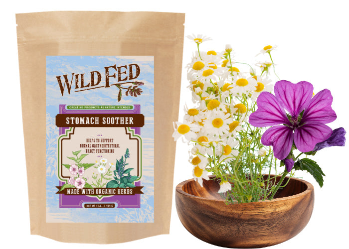Organic vs. Conventional Herbs: What's the Difference?