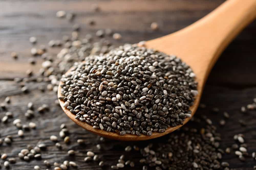 THE MANY BENEFITS OF CHIA FOR HORSES