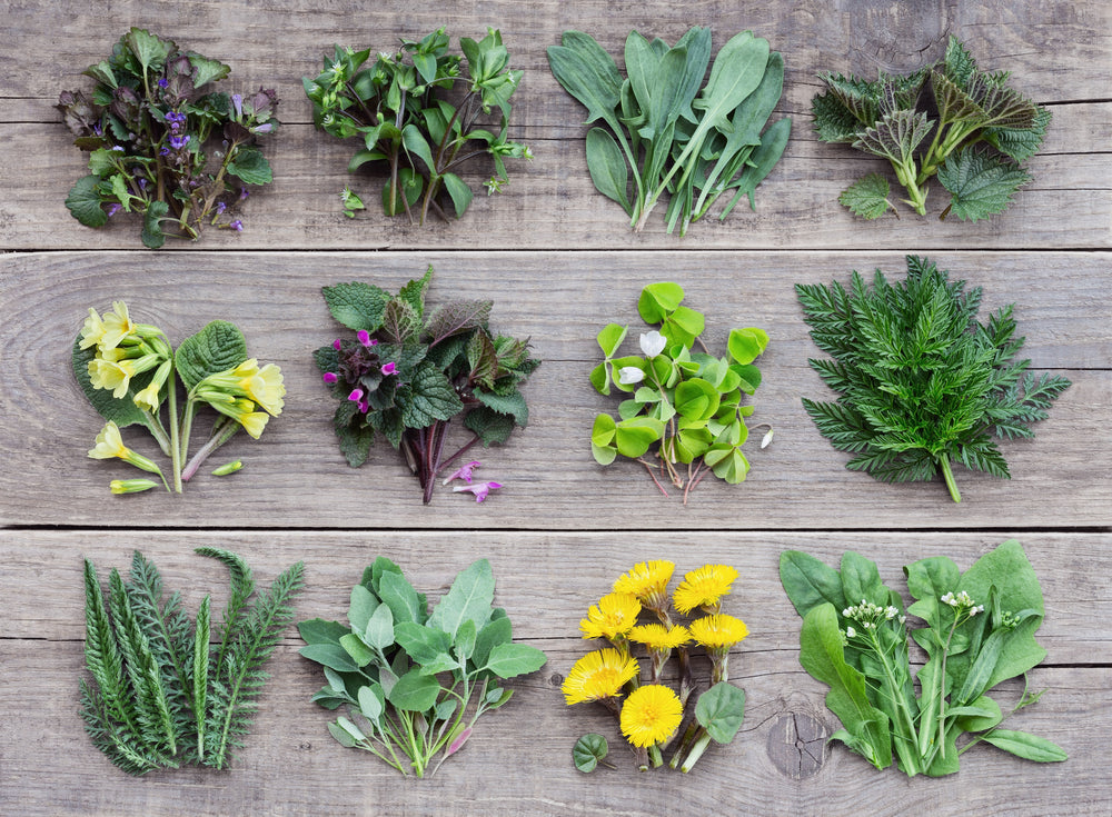 Wild Fed Organic Herbal Supplements