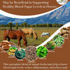 Wild Fed Blood Sugar Support Organic Herbal Horse Supplement