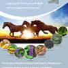 Wild Fed Breathe Freely Organic Herbal Horse Supplement