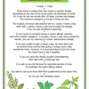Wild Fed Allergy Support Organic Herbal Horse Supplement